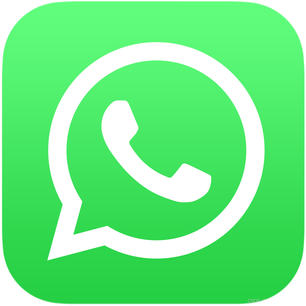 电脑上的whatsapp网页版不能用